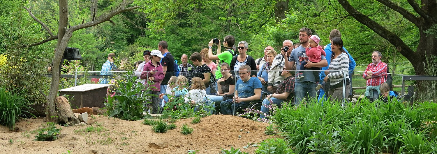 Tiergpark Nuernberg 2